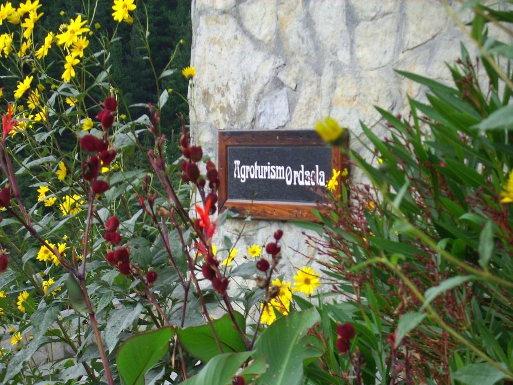 Agroturismo Ordaola Alonsotegi Exterior foto